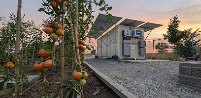 Agriculture